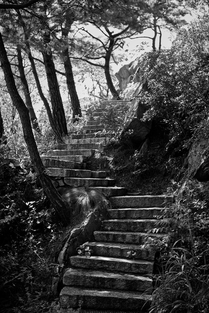 14fb30d162ec268a0856045971292640_1718165